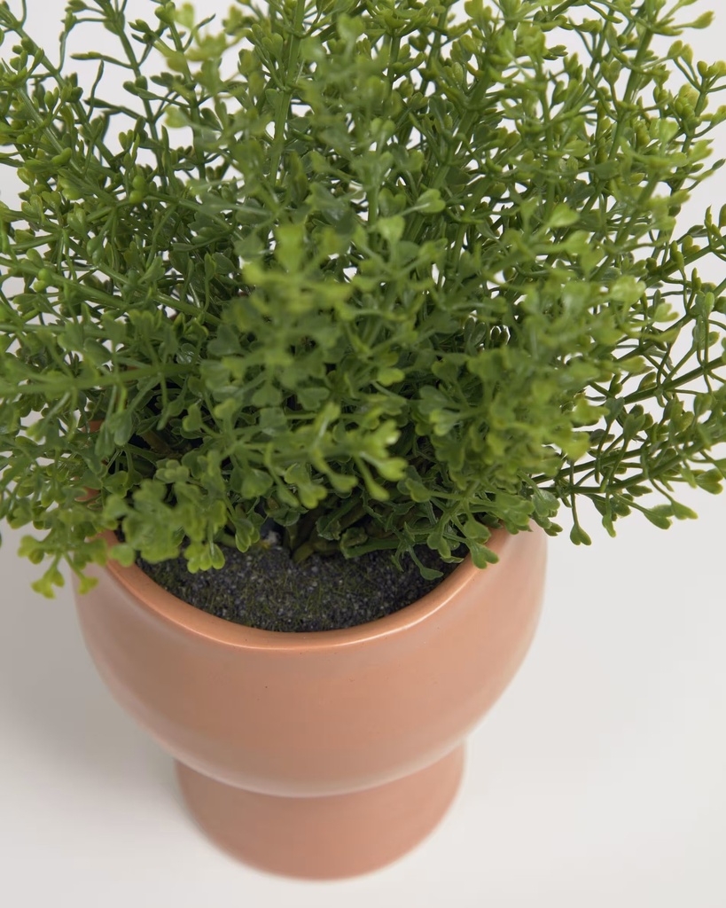 Myriophyllum