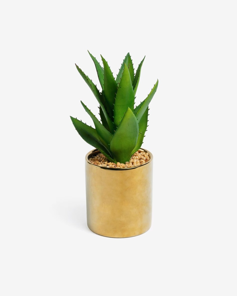 AGAVE