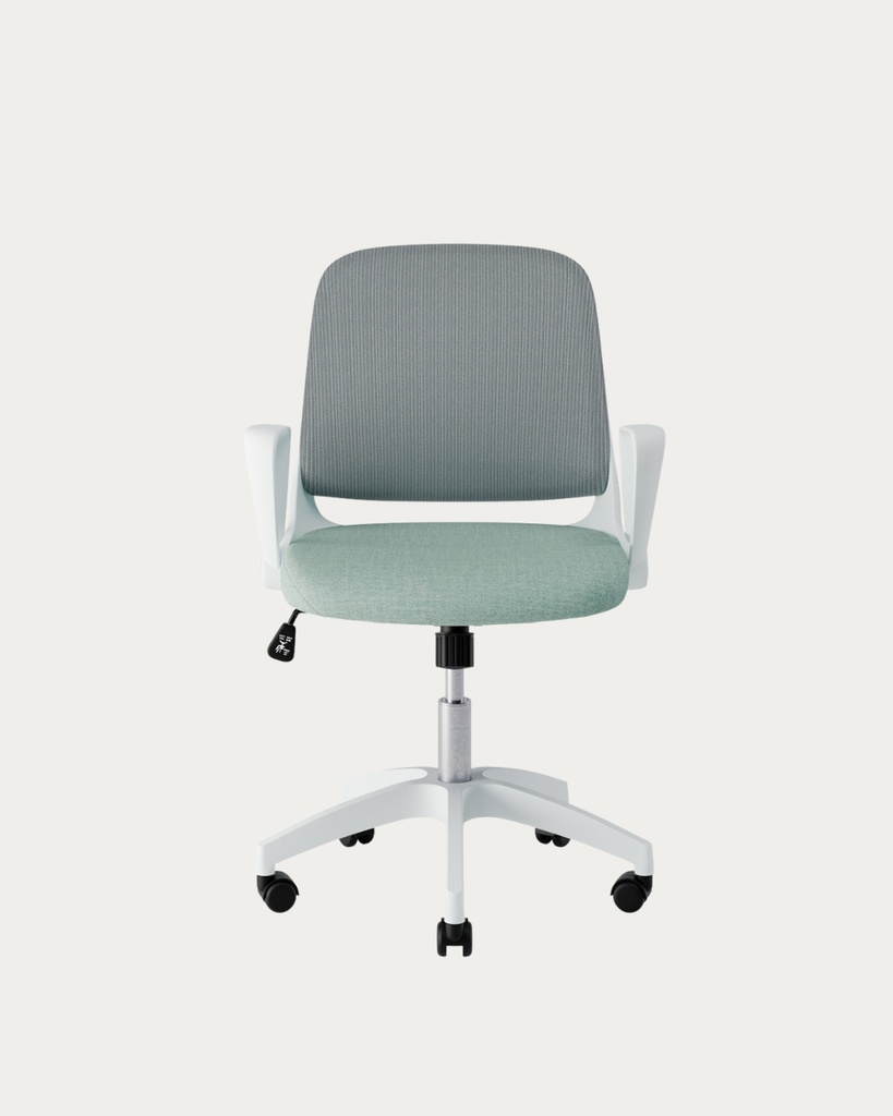 NOAH