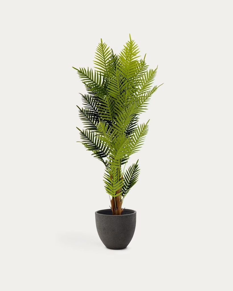 PALMERA