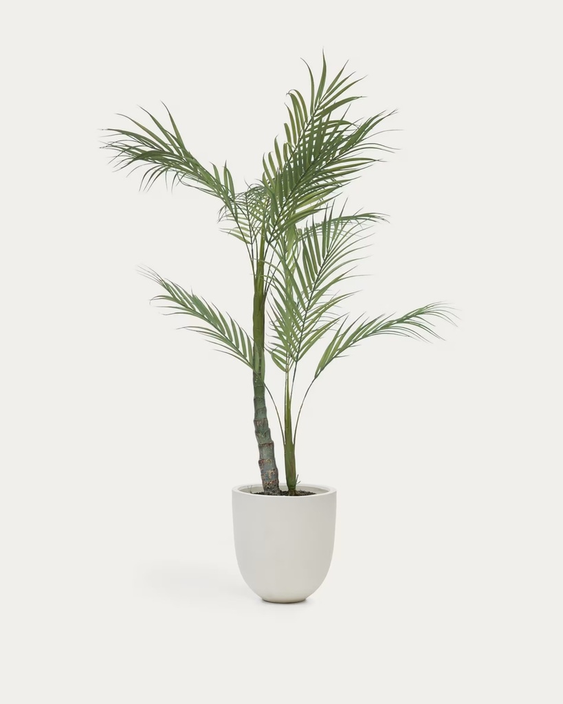 PALMERA