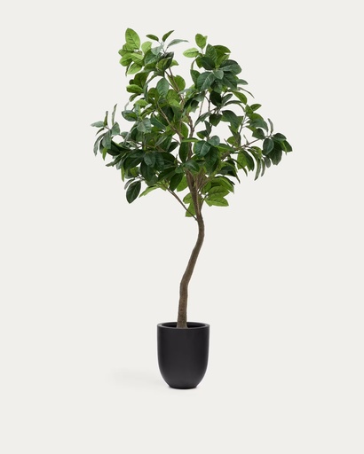 [D1700019SS06] FICUS