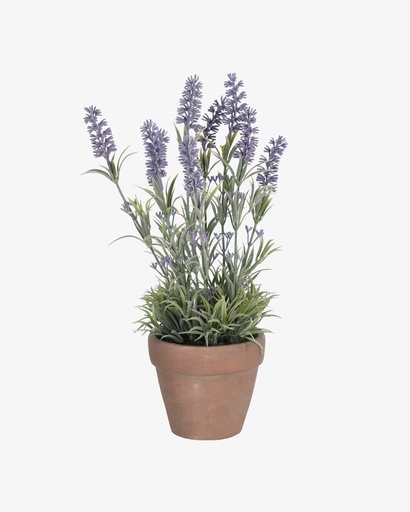 [AA6331] LAVANDA
