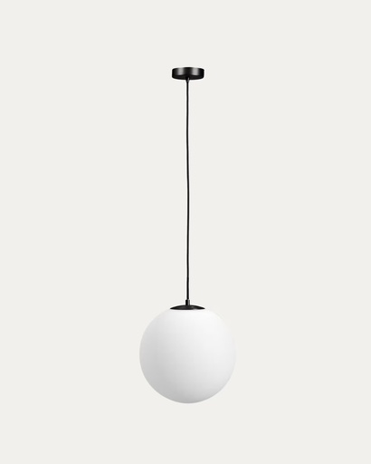 [L00151CR01] BRISIA