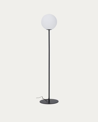 [L00176CR01] BRISIA