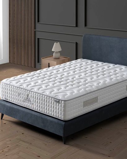 [0052650] ICEBERG 2.0 V5