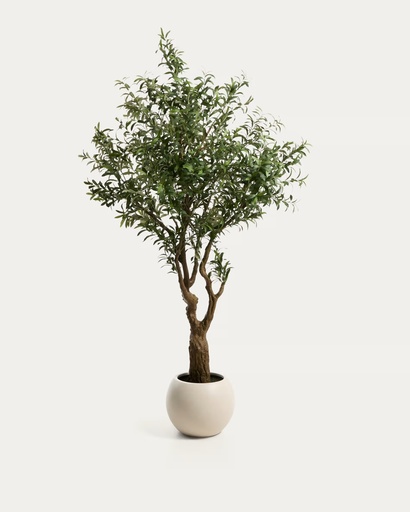 [D00747PL06] OLIVO